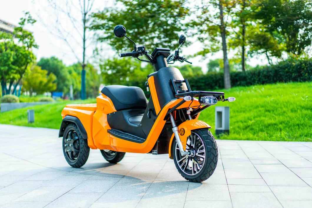 Hot Selling 3 Wheel Electric Tricycle Electric Delivery Trike 3 Wheel Motorcycle with EEC