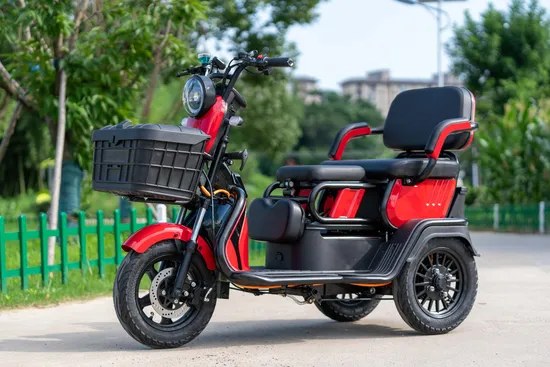 Scooter elettrico 3 ruote triciclo moto per passeggeri adulti a buon mercato